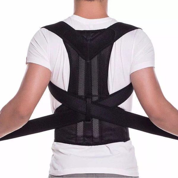 Full Back Spine Support Belt